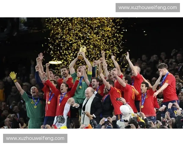 十年回望南非世界杯精彩瞬间与传奇球星风采揭秘